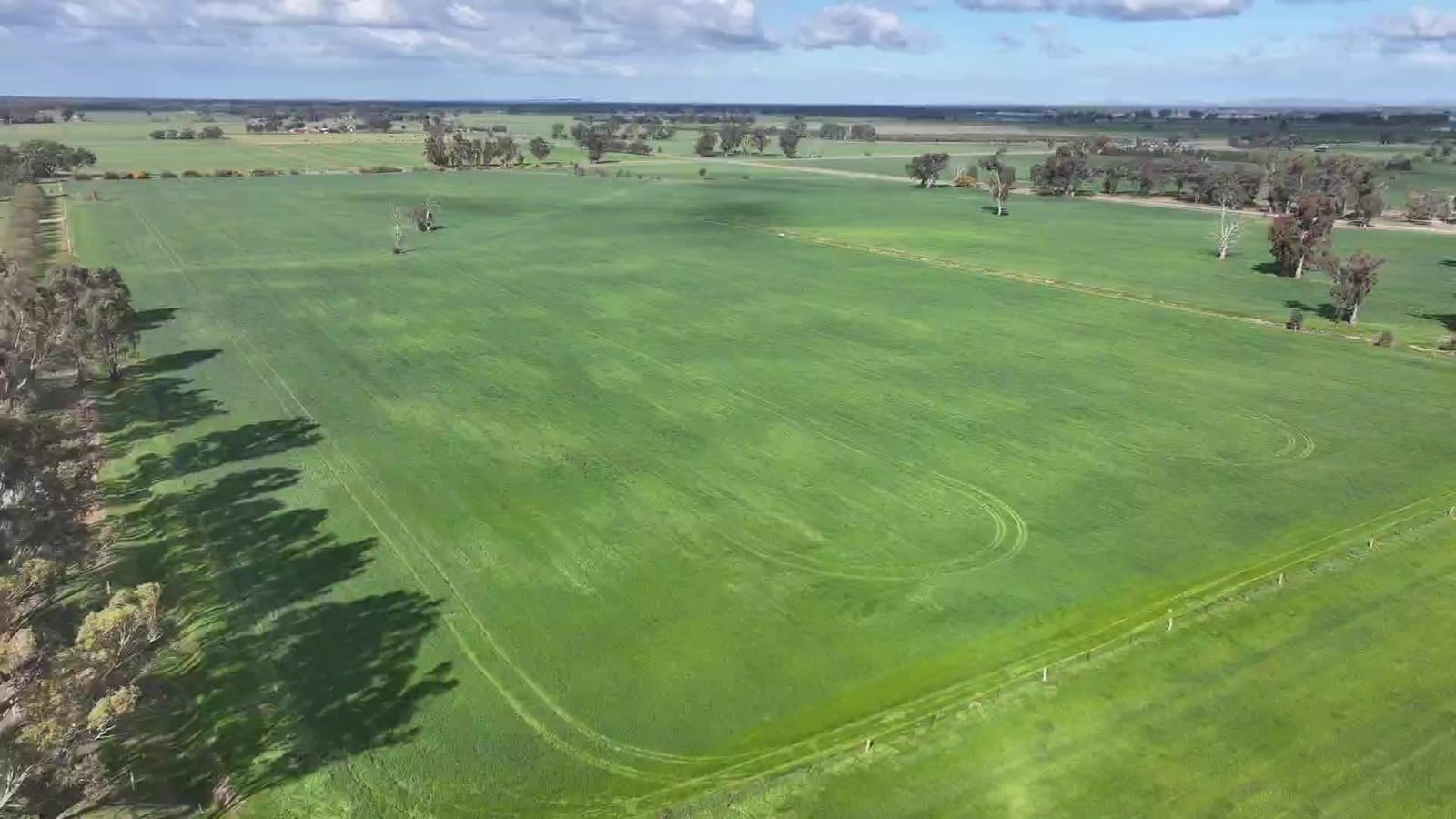 5x4 oat hay rolls at MisFitz & Co farm in Invergordon Victoria