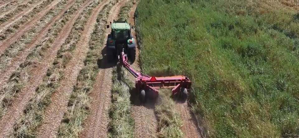 Our tractor mowing the oat crop at the MisFitz & Co farm