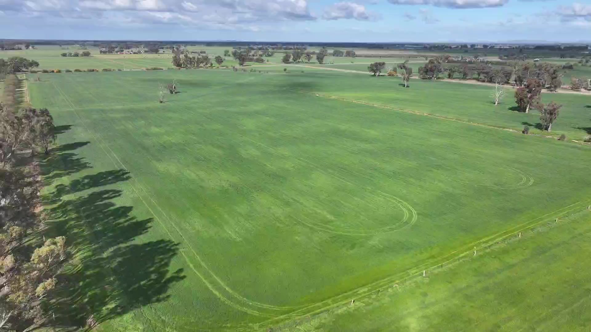 Aerial view of the MisFitz & Co farm in Invergordon, Victoria